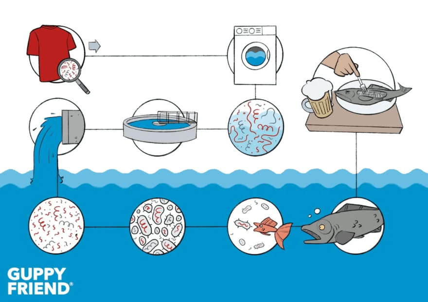 海洋プラスチックの循環サイクル