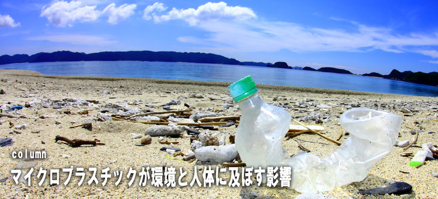 マイクロプラスチックが環境と人体に及ぼす影響
