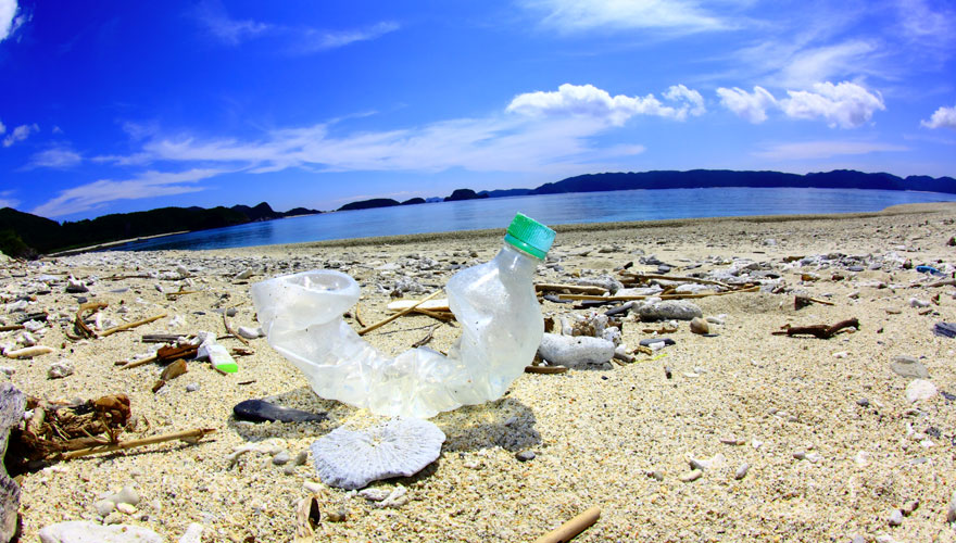 マイクロプラスチックが環境と人体に及ぼす影響